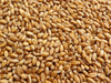 Wheat, Hard Winter, Nu East 1/2 lb